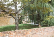 230818 – Beachspoke August 2018 BLEDLINGTON BARN – 153130